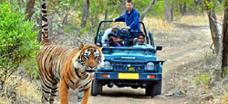 Bangalore - Mysore - Coorg - Ooty Kodaikanal Tour Package