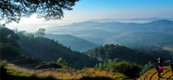 Mysore - Coorg - Wayanad - Ooty Tour Package