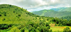 Chikmagalur Hills and Wildlife Tour Package