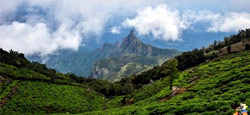 Mysore - Coorg - Ooty - Bangalore Tour Package