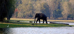 Karnataka Wildlife Tour Package